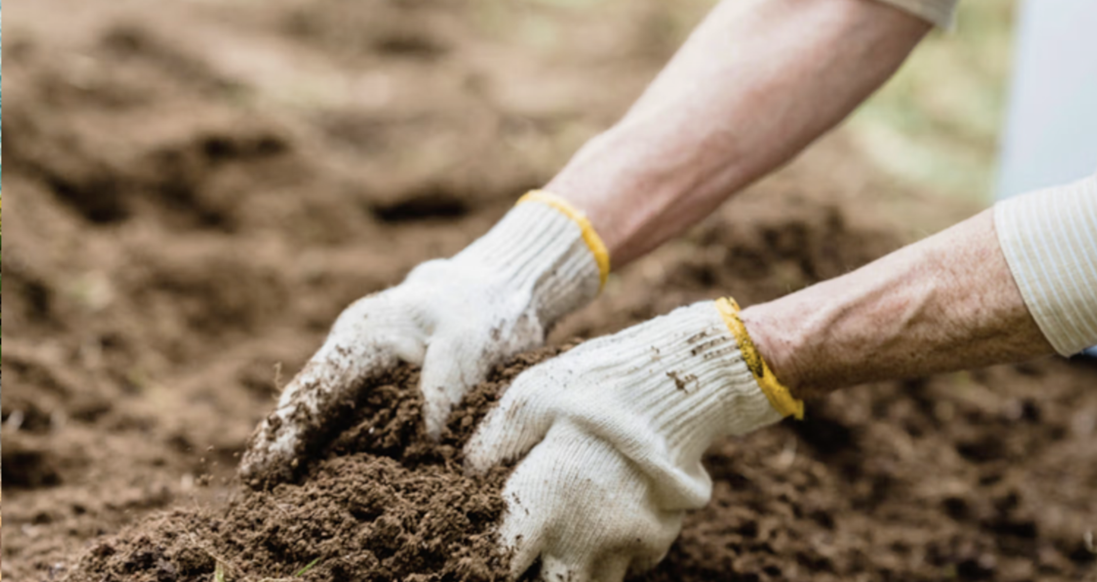 Local Soil